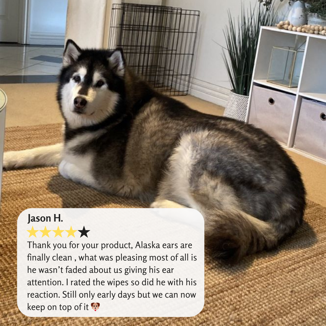 Bella Maree Natural - All Clear Ear Kit