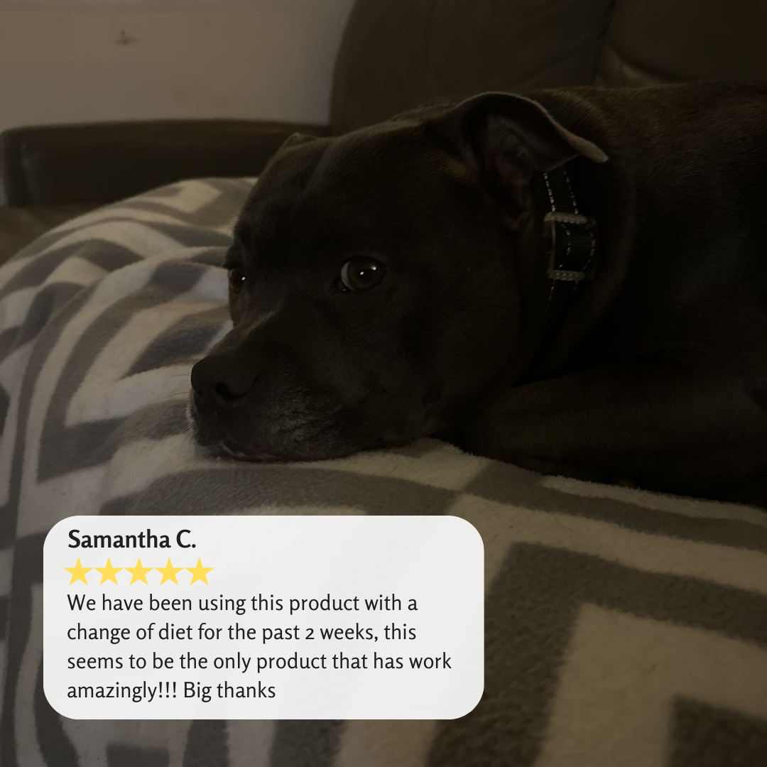 Bella Maree Natural - All Clear Ear Kit