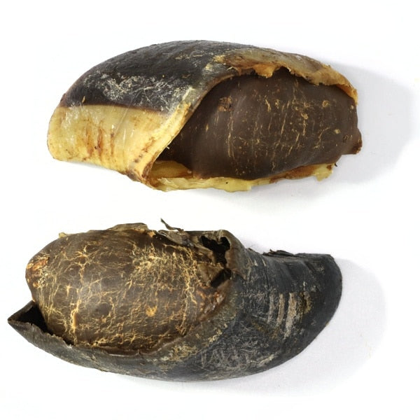 Stuffed hooves for dogs new arrivals