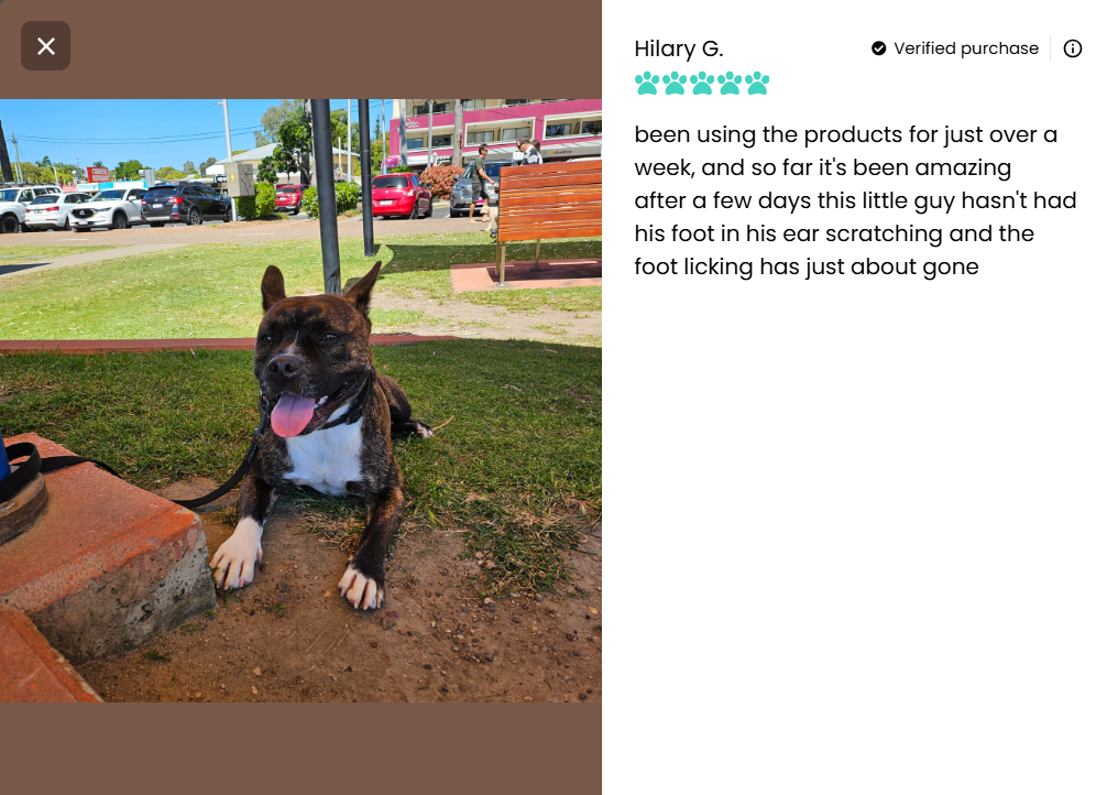 Bella Maree Natural - All Clear Ear Kit