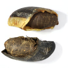 Load image into Gallery viewer, Cow Hooves Filled Roo Meat - Dog Treats