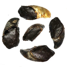 Load image into Gallery viewer, Cow Hooves Filled Roo Meat - Dog Treats