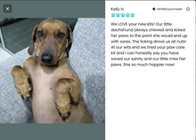 Load image into Gallery viewer, Paw Care Kit