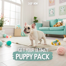 Load image into Gallery viewer, Bella Maree Natural -Essential Puppy Starter Kit