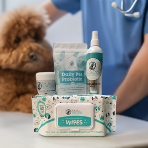 Paw Care Kit